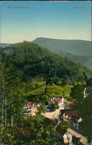 Ansichtskarte Bad Peterstal-Griesbach Straße - Adlerbad 1913