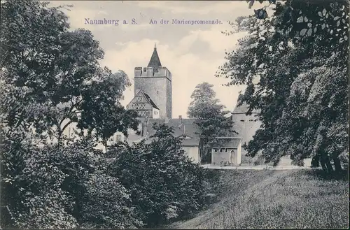 Ansichtskarte Naumburg (Saale) Partie an der Marienpromenade 1910