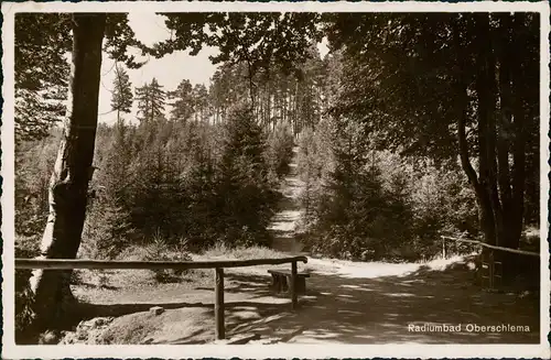 Ansichtskarte Oberschlema-Bad Schlema Wanderweg mit Rastplatz 1937