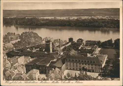 Ansichtskarte Eltville am Rhein Luftbild MuM Sektkellerei 1927
