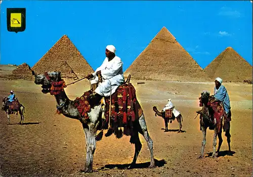 Postcard Kairo القاهرة Pyramiden - Kamele und Treiber 1980