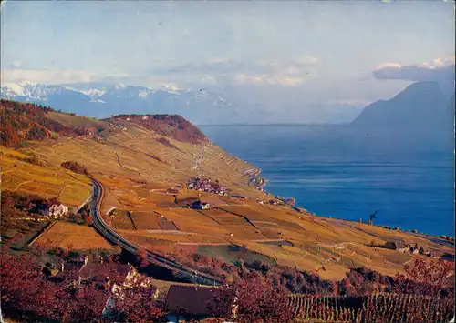 Ansichtskarte Lavaux Panorama-Ansicht See Berge Landschaft 1975