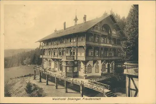 Ansichtskarte Freudenstadt Partie am Waldhotel Hotel Stokinger 1916