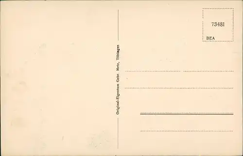 Ansichtskarte Heidenheim an der Brenz Stadt und Schloß Hellenstein 1922