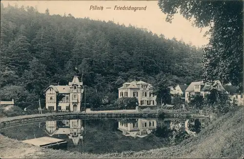 Ansichtskarte Pillnitz Friedrichsgrund - Villen 1905