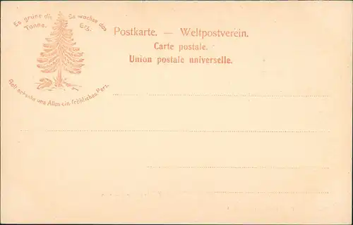 Ansichtskarte Bad Sachsa Partie mit Eingang zum Katzenthal Katzental 1904