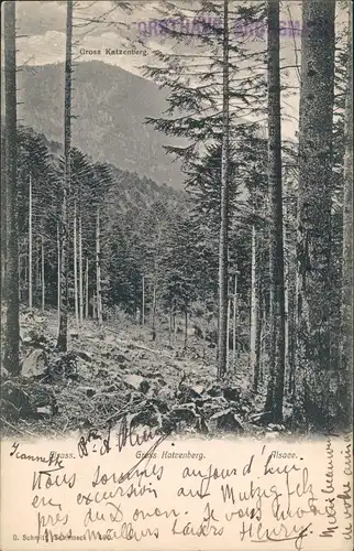 Schirmeck Umland-Ansicht am Gross Katzenberg, Elsass - Alsace 1910