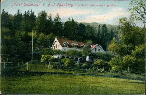 Ansichtskarte Bad Harzburg Hotel Silberborn von den Gestütswiesen 1915