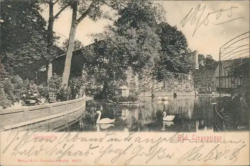 Ansichtskarte Bad Lippspringe Lippe-Quelle Partie mit Weiher & Schwänen 1905