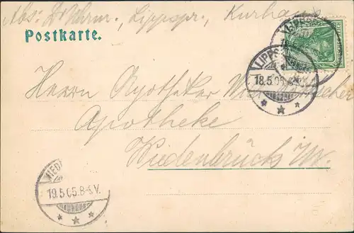 Ansichtskarte Bad Lippspringe Lippe-Quelle Partie mit Weiher & Schwänen 1905