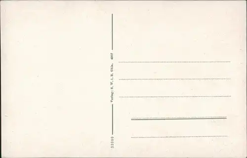 Postcard Breslau Wrocław Partie a.d. Liebichshöhe 1920