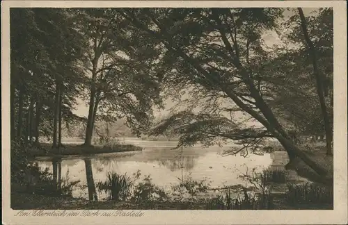 Ansichtskarte Rastede Ellernteich im Park 1925