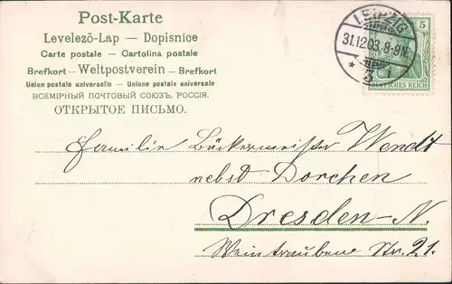 Ansichtskarte  Neujahr - Jugendstil Kleeblätter Fliegenpilze 1904 Prägekarte