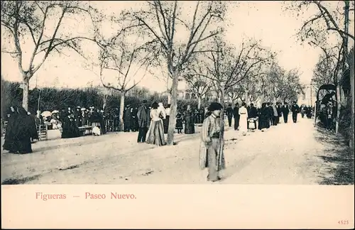 Postales Figueres Figueras Paseo Nuevo 1913