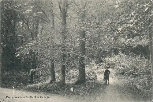 Ansichtskarte Sielbeck-Eutin Sielbecker Gehege 1911