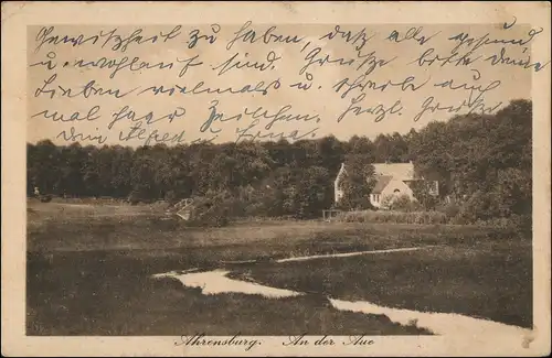 Ansichtskarte Ahrensburg An der Aue 1919