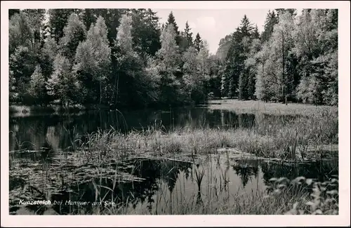 Postcard Hammer am See Hamr na Jezeře Kunzeteich 1932