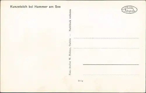 Postcard Hammer am See Hamr na Jezeře Kunzeteich 1932