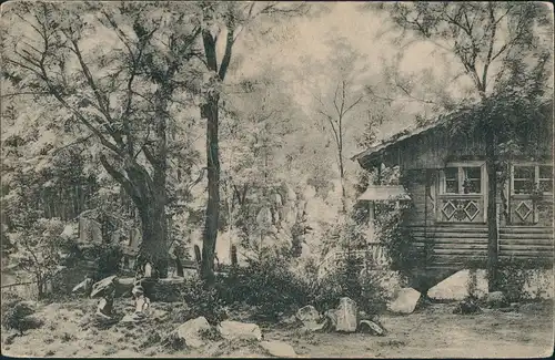 Ansichtskarte Ötigheim Volksschauspiel Wilhelm Tell 1913