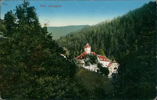 Ansichtskarte Bad Antogast Stadtpartie 1911