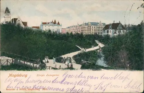 Ansichtskarte Magdeburg Königin Luise Garten - Villen 1904