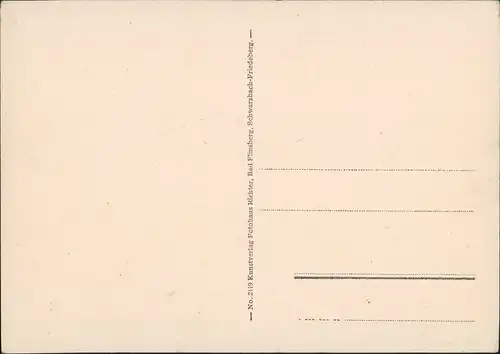 Bad Schwarzbach-Bad Flinsberg Czerniawa-Zdrój Świeradów-Zdrój Stadtpartie 1924