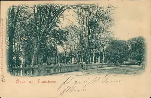 Ansichtskarte Grunewald-Berlin Straßenpartie Paulsborn 1900