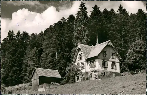 Ansichtskarte Bad Wildbad Forsthaus Große Tanne 1963
