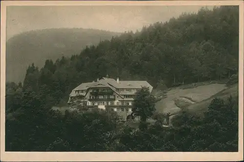 Ansichtskarte Bad Rippoldsau-Bad Rippoldsau-Schapbach Villa Sonnenberg 1924