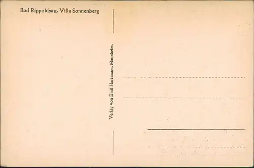 Ansichtskarte Bad Rippoldsau-Bad Rippoldsau-Schapbach Villa Sonnenberg 1924