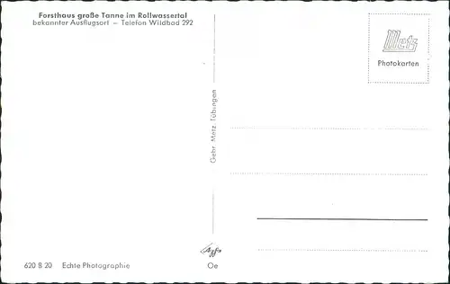 Ansichtskarte Bad Wildbad Forsthaus große Tanne 1965