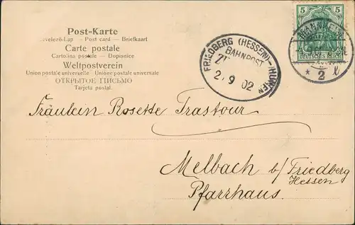 Ansichtskarte Mannheim Marktplatz - Markttreiben gel. Bahnpost 1902