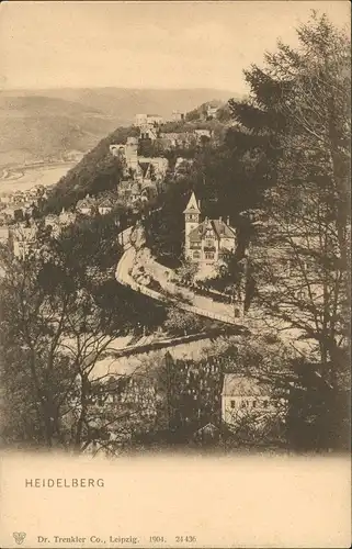 Ansichtskarte Heidelberg Stadt - Draufsicht 1904