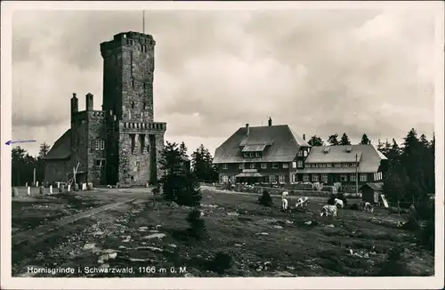 Ansichtskarte Sasbach (Ortenau) Hornisgrinde (Berg) 1934