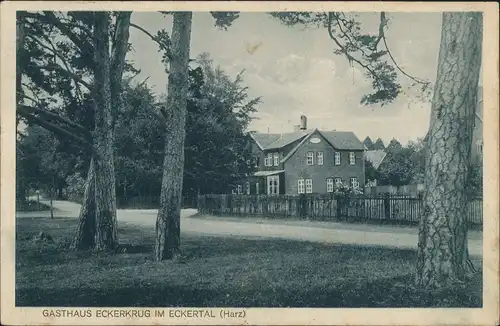 Ansichtskarte Eckertal-Bad Harzburg Straßenpartie Gasthaus Eckerkrug 1927