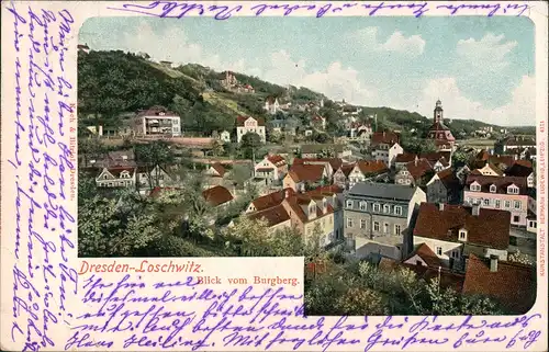 Ansichtskarte Loschwitz-Dresden Blick vom Burgberg 1901