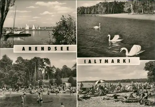 Ansichtskarte Arendsee (Altmark) 4 Bild Strand Arendsee 1971