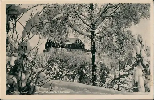 Ansichtskarte Seiffen (Erzgebirge) Panorama-Blick auf Nußknacker-Baude 1940