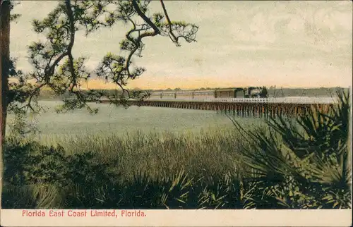 Postcard Florida Eisenbahn, Florida East Coast Limited Railway 1910