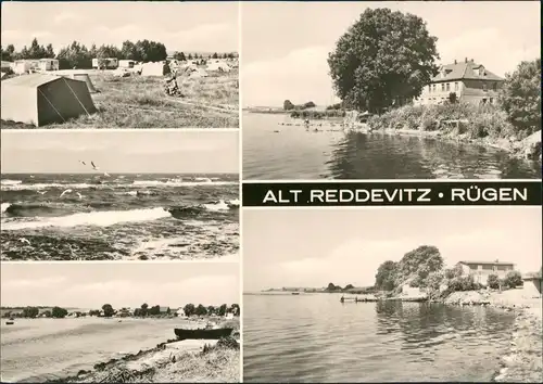Alt Reddevitz (Rügen)-Middelhagen  DDR Mehrbild-AK ua. Campingplatz 1981