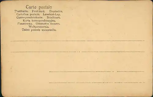 Ansichtskarte  Künstlerkarte Federzeichnung Enten am Teich 1909