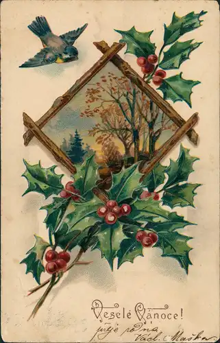 Glückwunsch Grusskarte Allgemein "Vesele Vanoce" 1910 Prägekarte