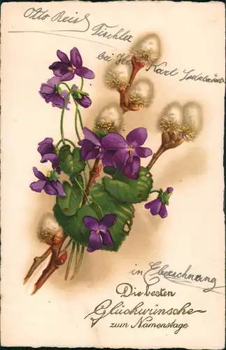 Glückwunsch Namenstag Fauna Pflanzen Blumen Motiv 1927  Stempel 18.03.1927