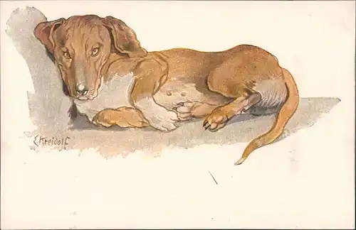 Ansichtskarte  "Der sinnende Dackel" Hund Dog - Kunstwart Bildkarte 1910