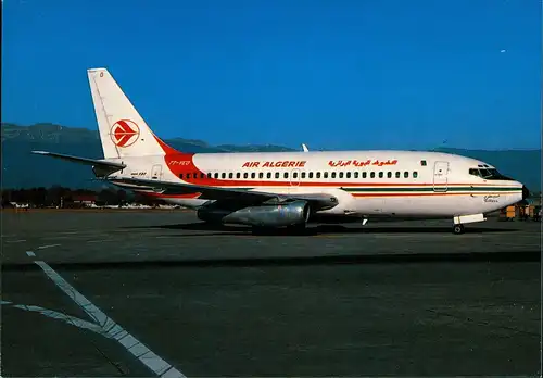 Ansichtskarte  AIR ALGERIE Boeing 737-2D6 (7T-VEO) Flugwesen - Flugzeuge 1983