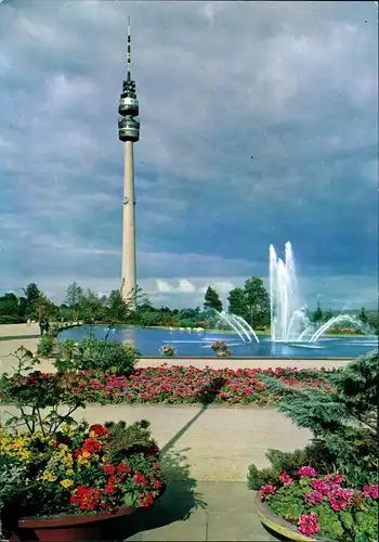 Ansichtskarte Dortmund Westfalenpark Flamingoteich mit Florianturm 1966