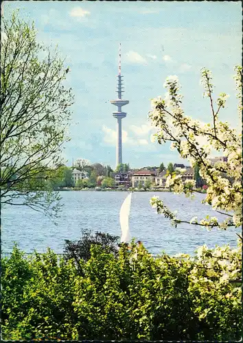 Ansichtskarte St. Pauli-Hamburg Fernsehturm vom Ufer aus 1969