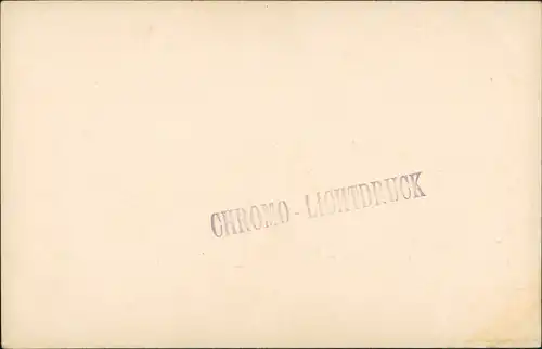 Norwich (Conn.) Bird`s Eye Shetucket River View from Laurel Hill 1910