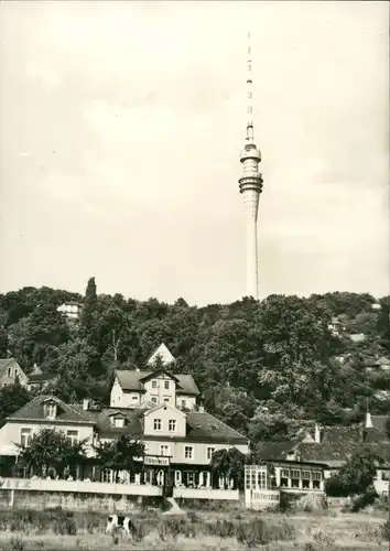 Ansichtskarte Wachwitz-Dresden Elbterrasse mit Fernsehturm dahinter 1969