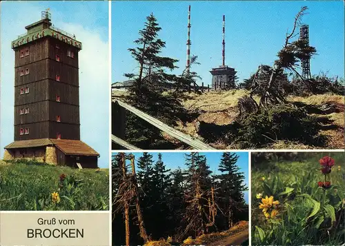 Ilsenburg (Harz) Wetterwarte und Funktstation Blumen auf Brocken 1990
